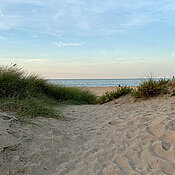 Ein Sandweg führt durch eine Düne, im Hintergrund sieht man das Meer