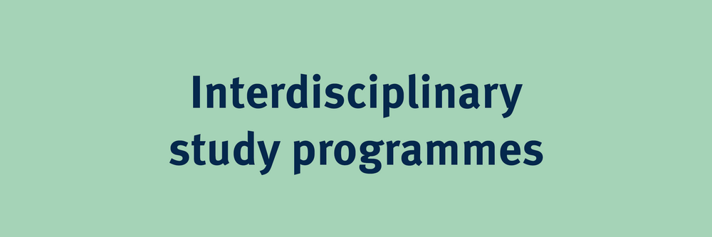 Interdisciplinary study programmes