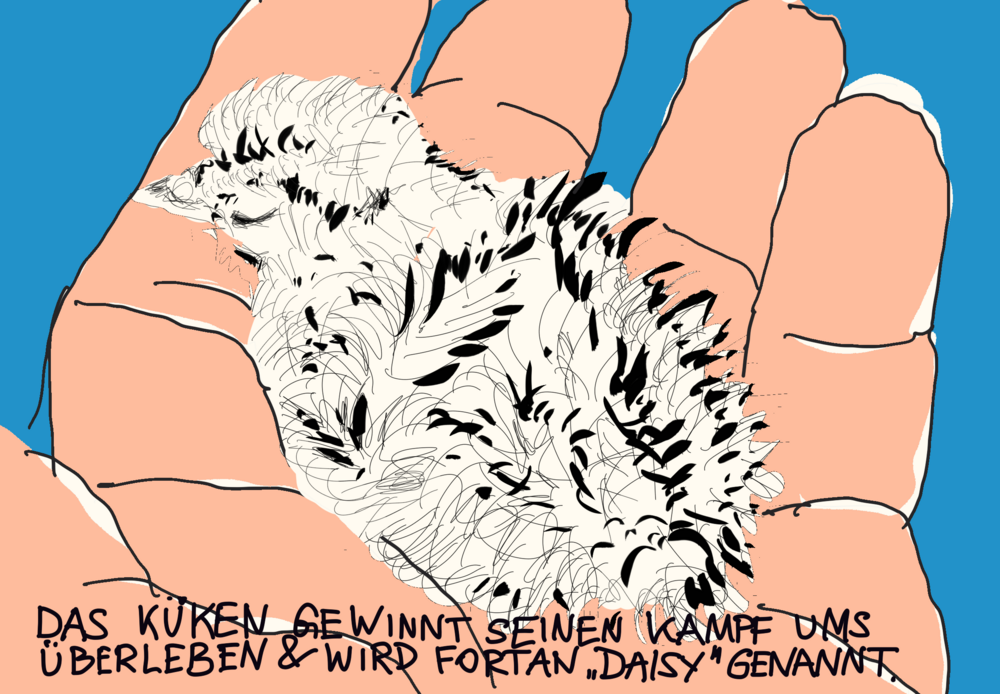 The drawing shows a close-up of a hand against a blue background with a partridge chick sitting on it. There is a handwritten text at the bottom of the picture.