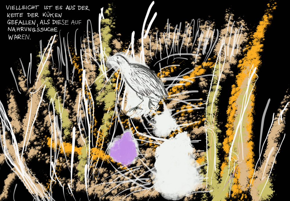 An abstractly drawn, grassy landscape can be seen on a dark background. In the centre is an adult partridge. The chicks are only indicated by two white and one purple splashes of colour. The handwritten text is in the upper left-hand corner.