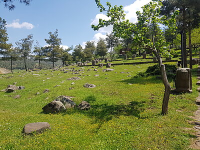 Blick von unten auf den Hang eines Hügels, der von Felsbrocken übersät ist. Zwischen dem Geröll auf dem Hang stehen in unregelmäßigen Abständen steinerne Löwenfiguren, die zum Teil noch sehr unfertig, zum Teil gut erkennbar sind.