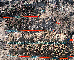 Abb. 12 Fidvár bei Vráble 2007. Bohrkern aus dem Bereich des äußeren Grabens mit den Schichten der Grabenfüllung (Foto: Falkenstein).