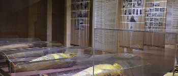 Hier wäre ein Bild eines Ausstellungsbereichs mit Mumien zu sehen.
